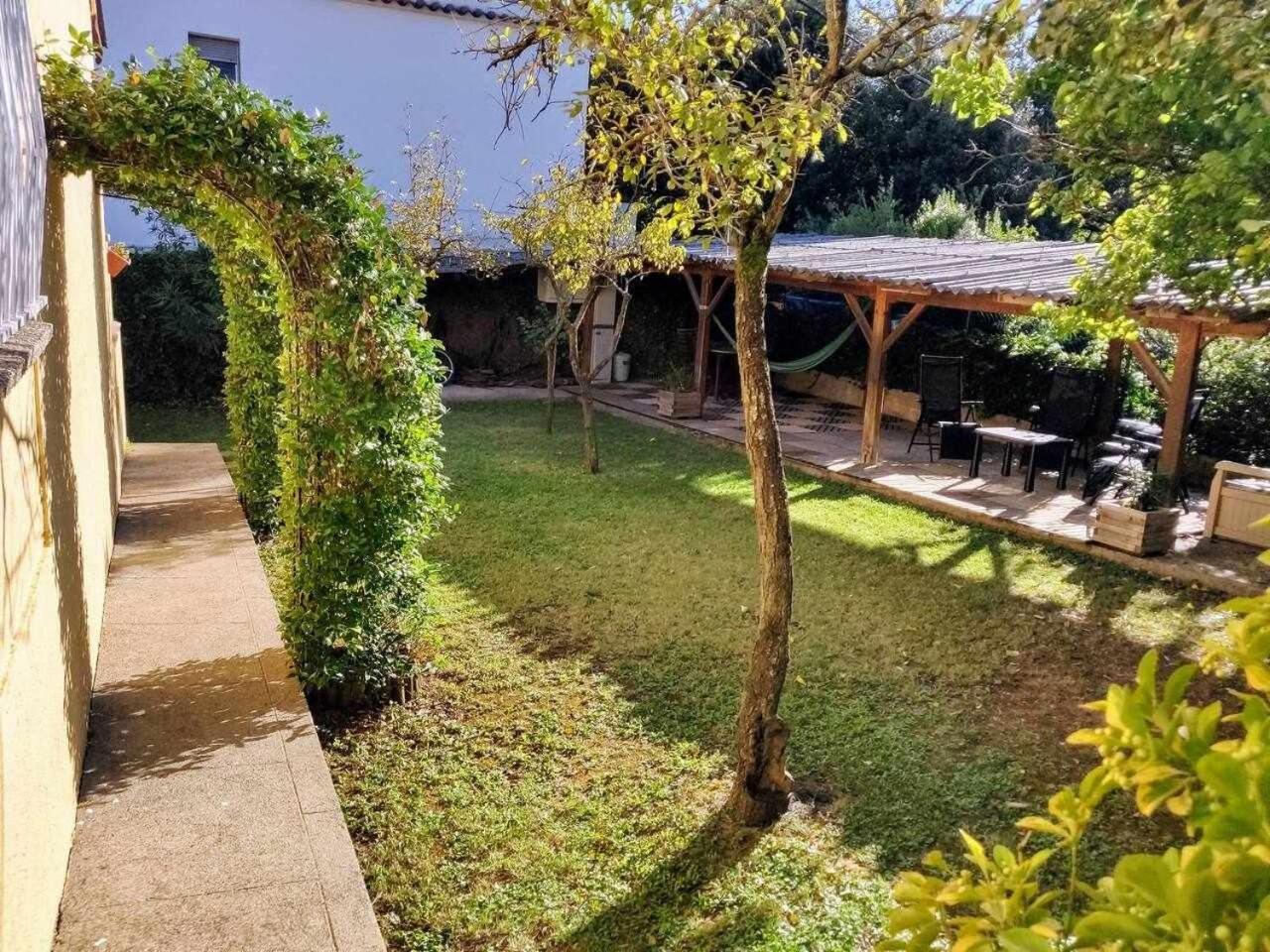 Can Camps Besalu Casa Planta Baja Con Jardin 外观 照片