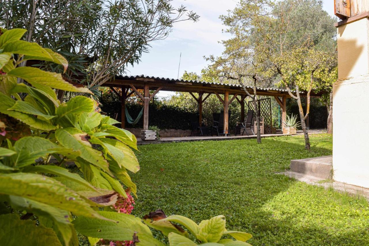 Can Camps Besalu Casa Planta Baja Con Jardin 外观 照片