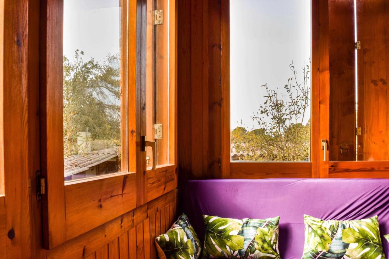 Can Camps Besalu Casa Planta Baja Con Jardin 外观 照片