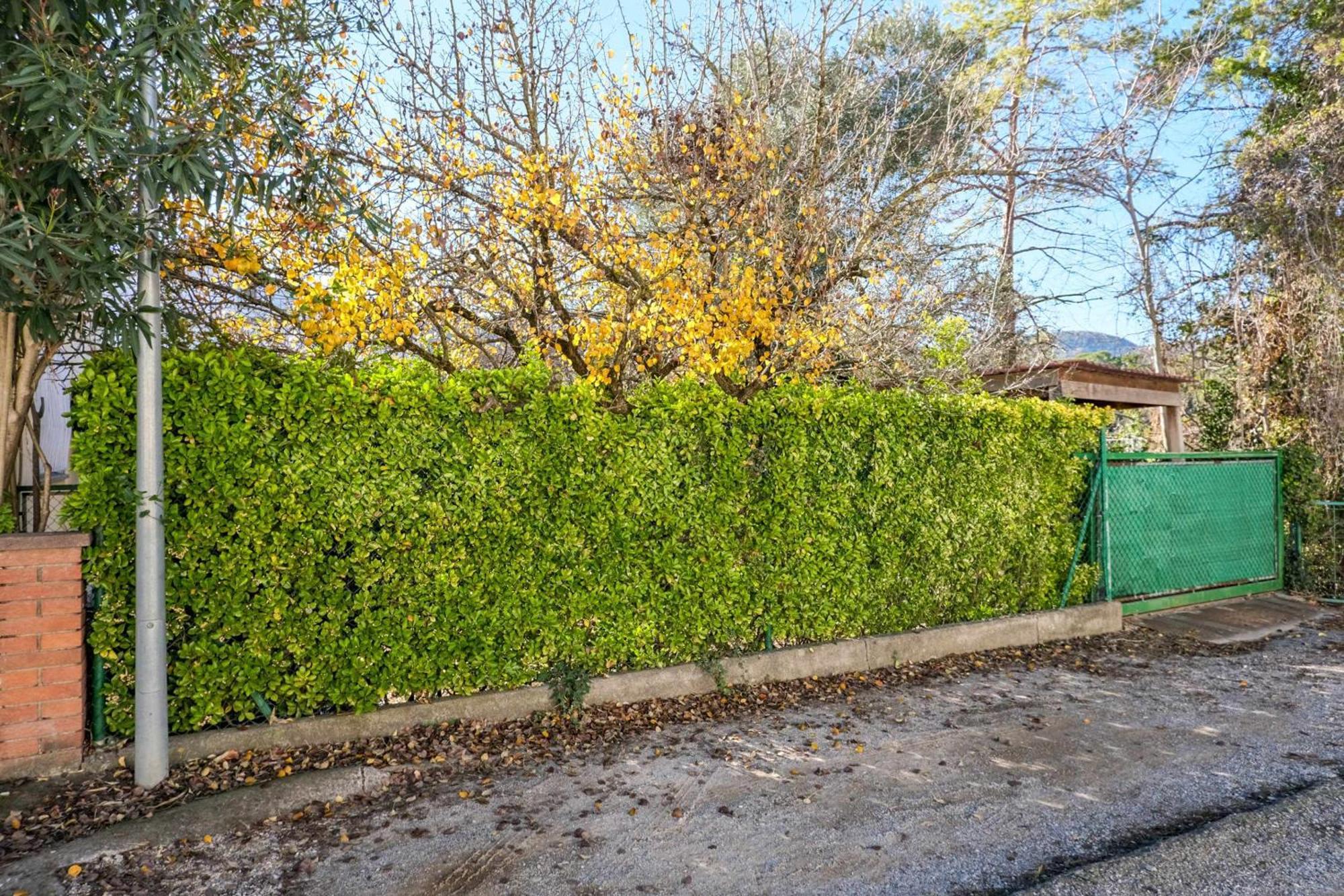 Can Camps Besalu Casa Planta Baja Con Jardin 外观 照片